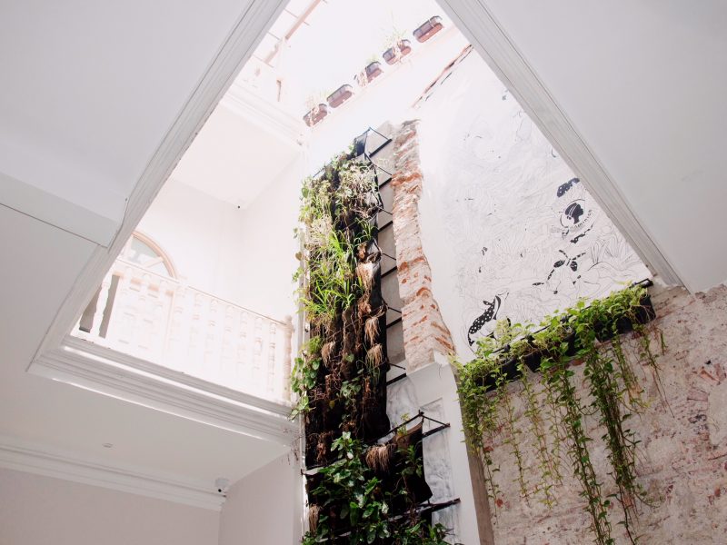 TheSunnyExperience,Colombia,SouthAmerica,Travel,Trips,GroupTravel